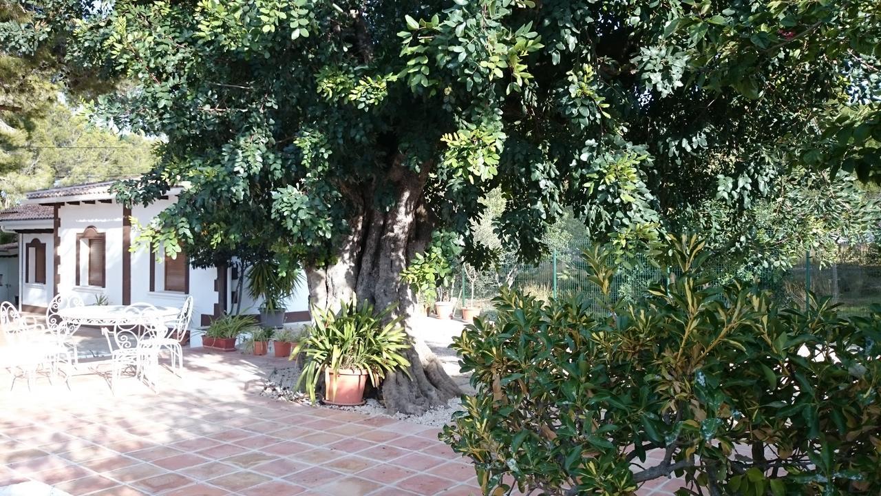 Villa Chabola Denia Kültér fotó