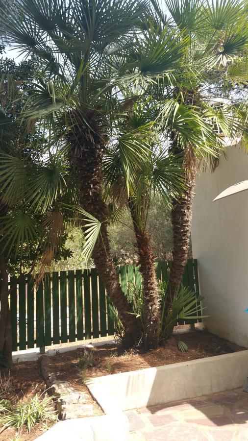 Villa Chabola Denia Kültér fotó